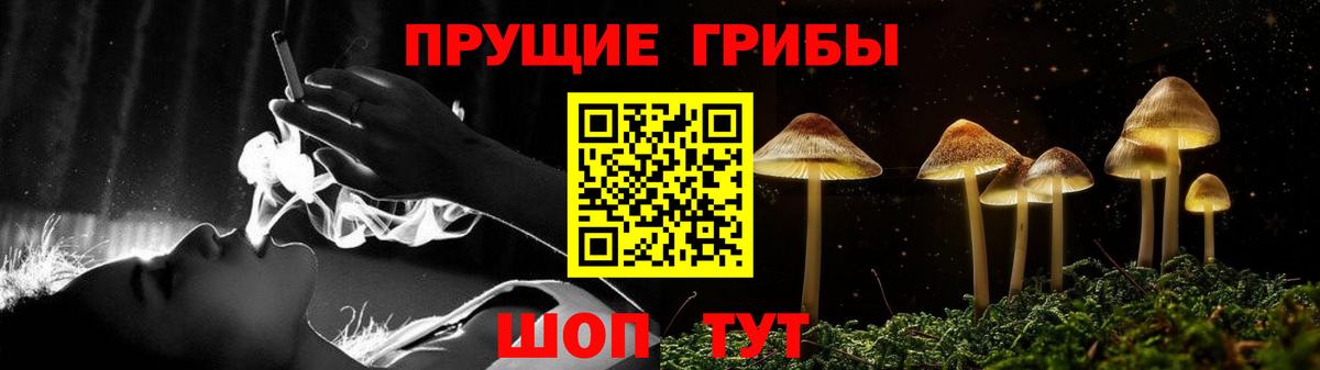 Псилоцибиновые грибы Psilocybine cubensis Нефтеюганск